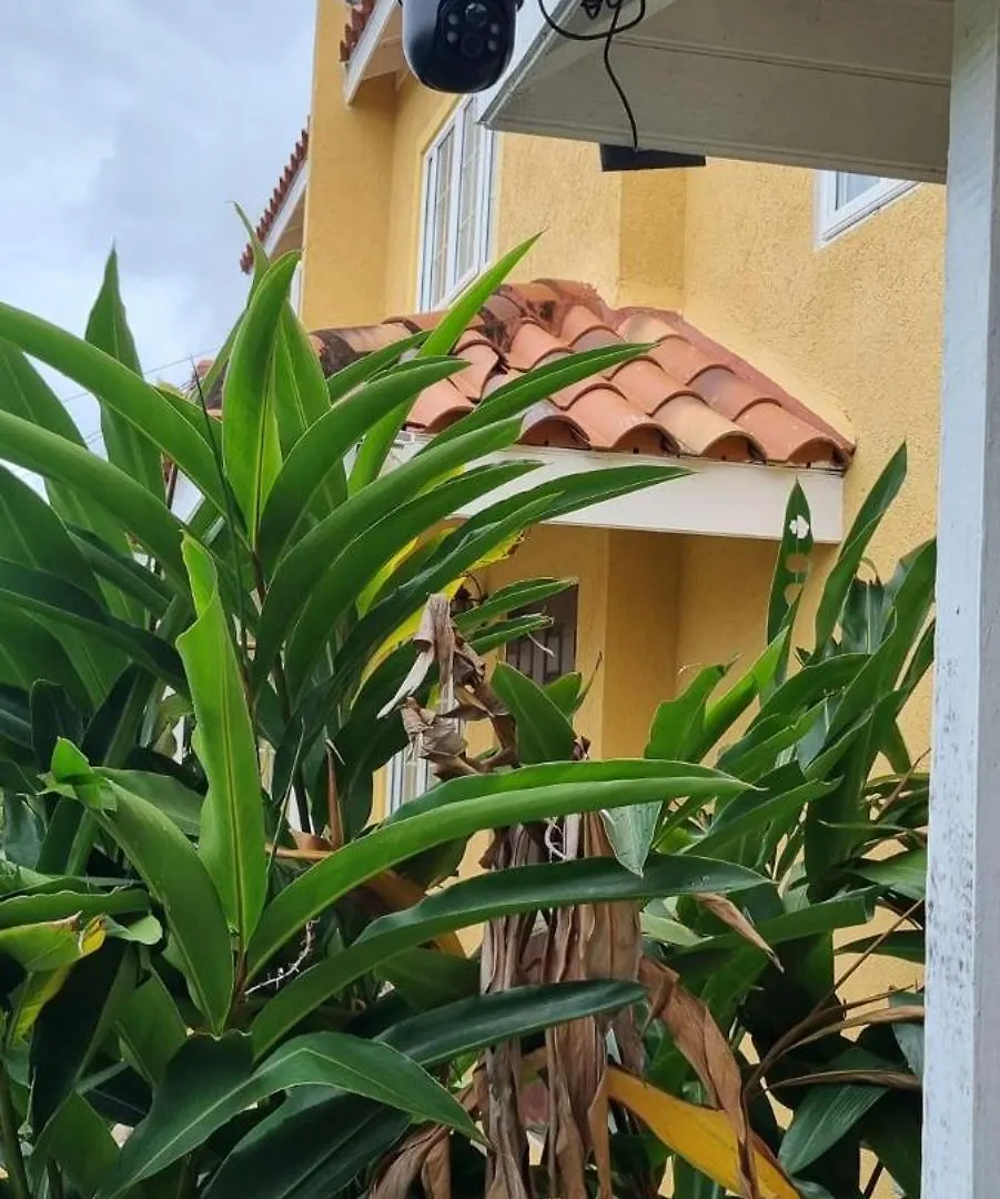 Апартаменты Mango Retreat In Mango Walk Country Club Бухта Монтего 0*,